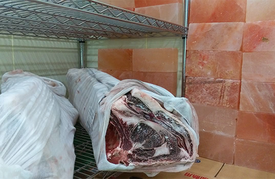 ソルトエイジングの研究開発