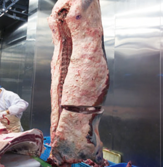 枯らし、吊るし