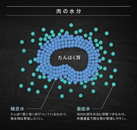 肉の水分